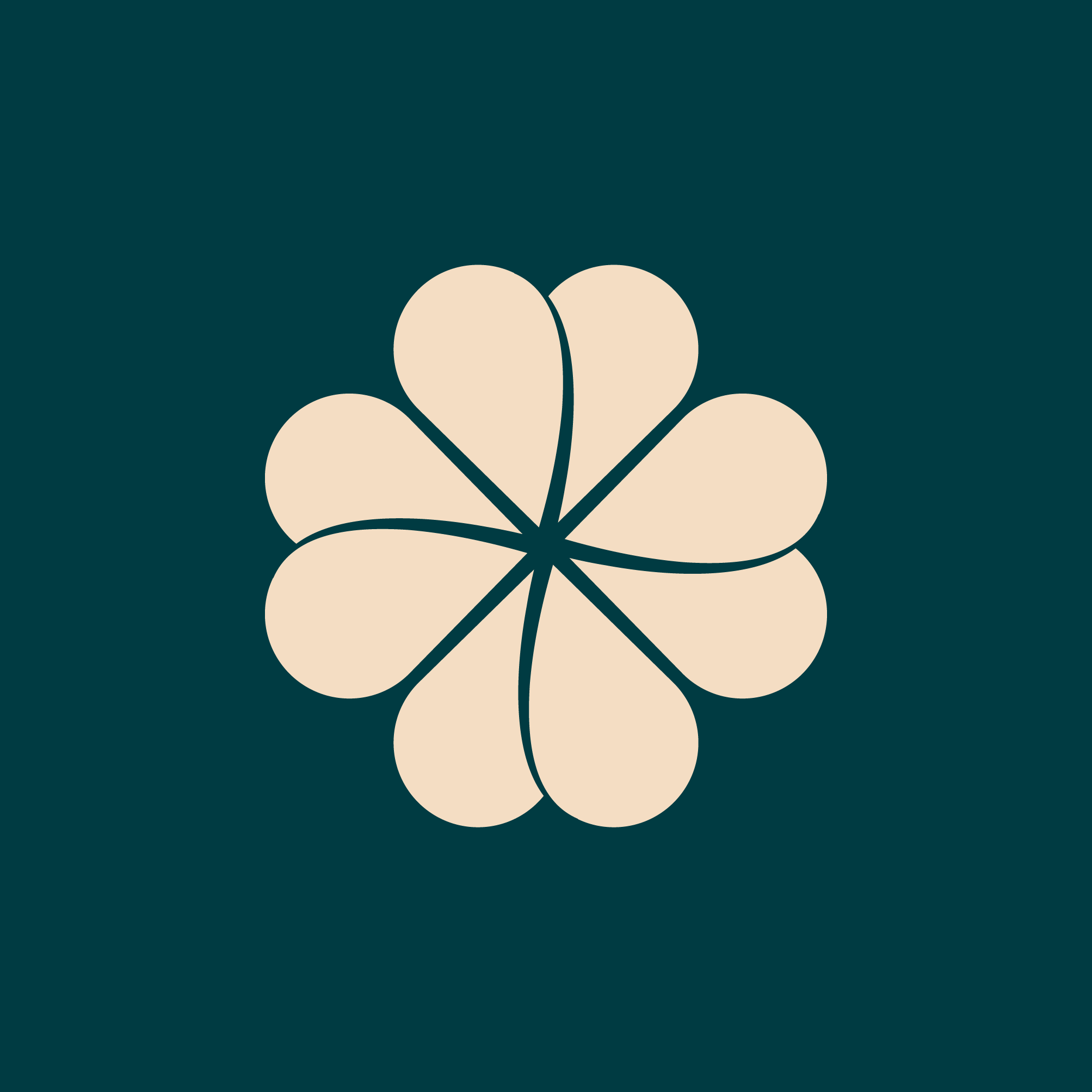 Vera Augusta Contabilidade MEI